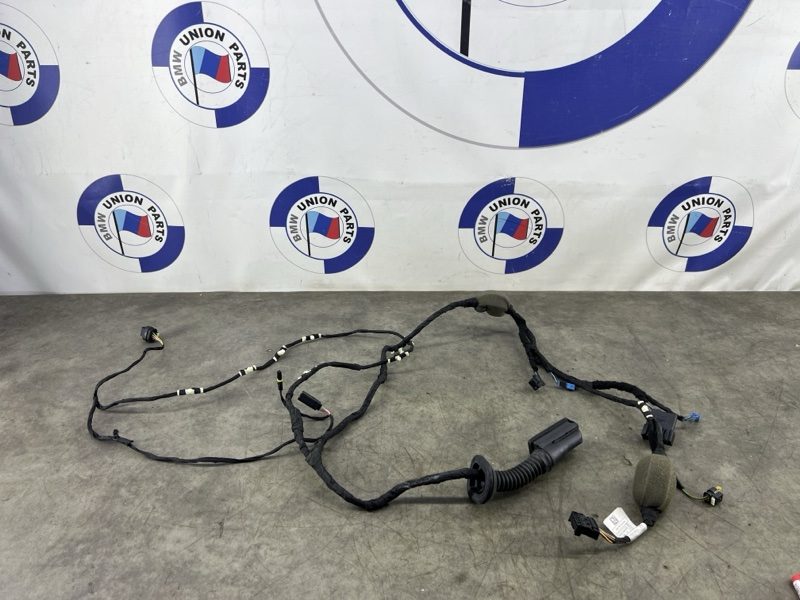 Проводка двери передняя правая BMW X6 G06